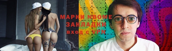 apvp Щигры