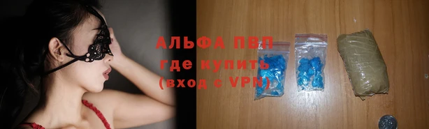 ПСИЛОЦИБИНОВЫЕ ГРИБЫ Зерноград