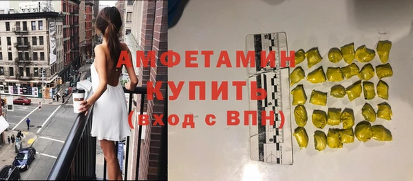 spice Ельня